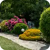 Landscaping Website Design